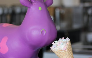 Sweet Cow