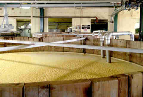 The mash tubs at Four Roses