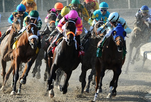 Horse Racing Betting Suggestions - Know It All Right here!