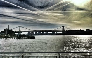 The Williamsburg Neighborhood Guide