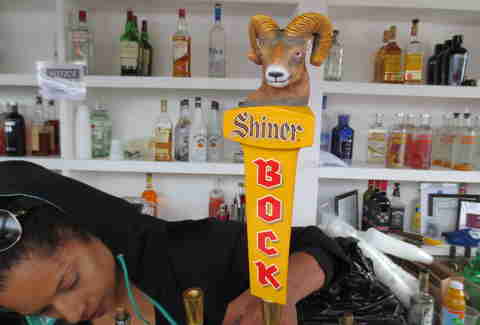 Shiner in New York
