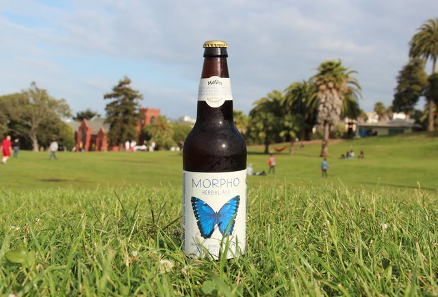 Cerveceria de MateVeza's Morpho-Summer Beers: The 150 You Need to Drink Before September