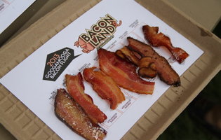 The Great GoogaMooga Roundup