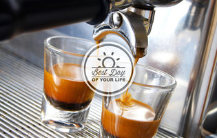 Help us choose the best beans in SD