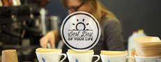 Alright, let's vote: who's got the best cup of Joe in SF?