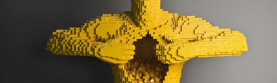 Art of the Brick 
