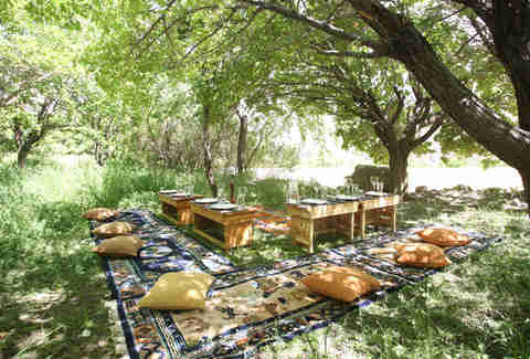 An Escapists Dream Through India Picnic