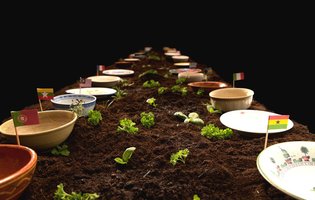 Go to a world record-breaking, 193-course meal