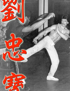 Michael Militano Wing Chun Kung-Fu
