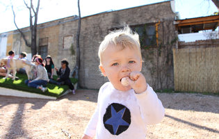 Suck on a breast milk lollipop. Seriously.