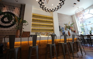 SF's most awesome (and pretty) restaurateur games it up at S&R Lounge