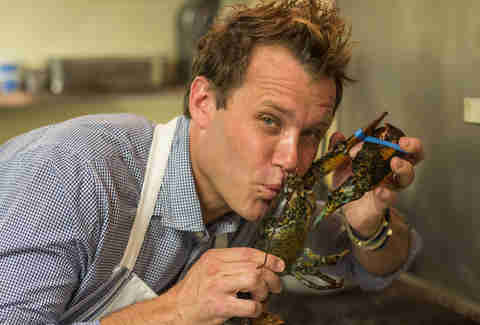 Searsucker lobster