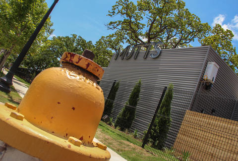 A fire hydrant at Mutts Canine Cantina