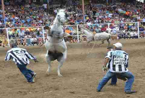 Angola Prison Rodeo
