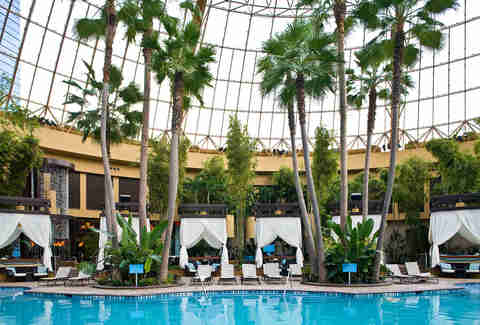 the pool at harrah's atlantic city