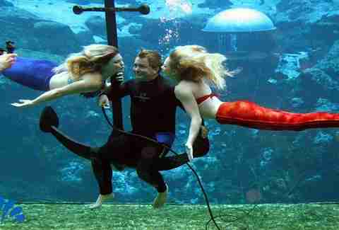 Weeki Wachee Springs, Florida mermaid town/ mermaid show