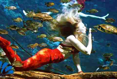 Weeki Wachee Springs, Florida mermaid town/ mermaid show