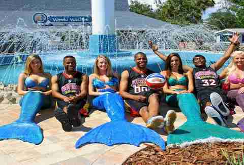 Weeki Wachee Springs, Florida mermaid town/ mermaid show