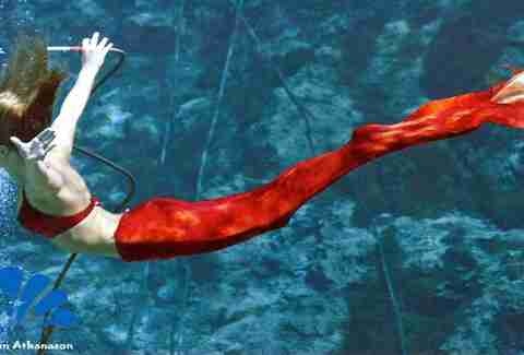 Weeki Wachee Springs, Florida mermaid town/ mermaid show