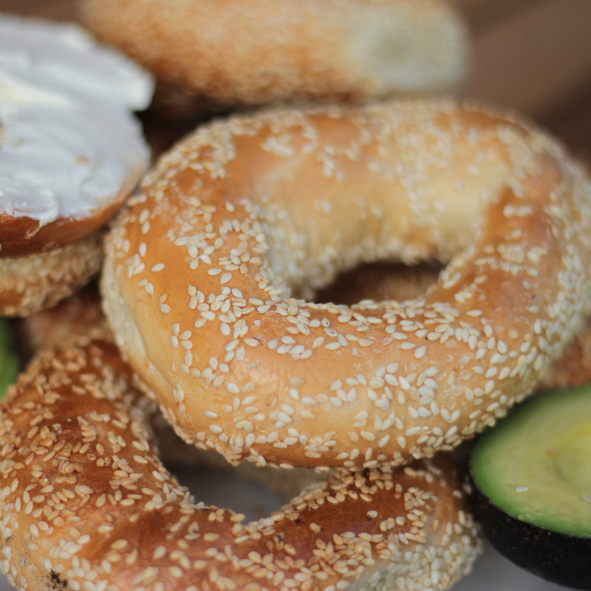 Best Bagels - Where to Get the Best Bagels in Montreal - Thrillist Montreal