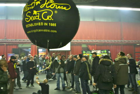High Times Cannabis Cup in Amsterdam