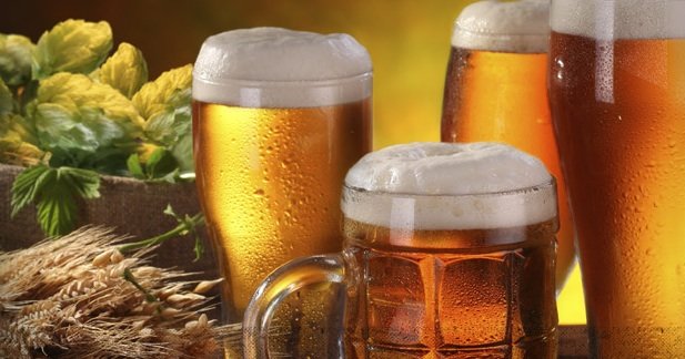Maryland Craft Beer Festival