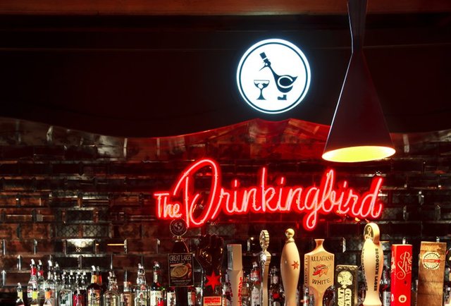 The Drinkingbird