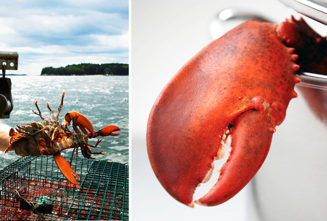 From Boat To Boil