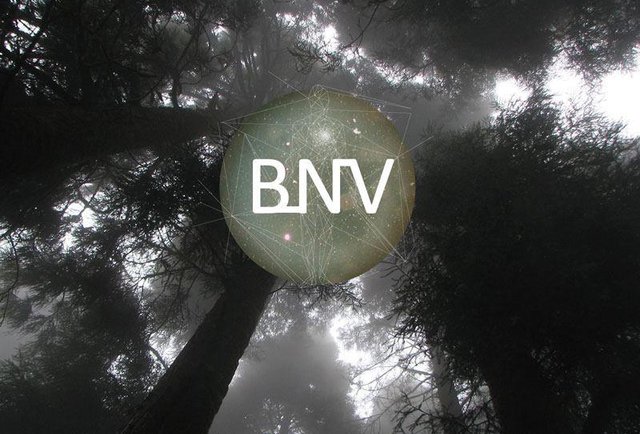 Secret Cinema's Brave New Venture