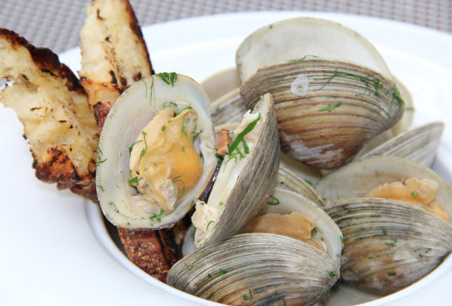 Catalyst's Summer Patio Menu