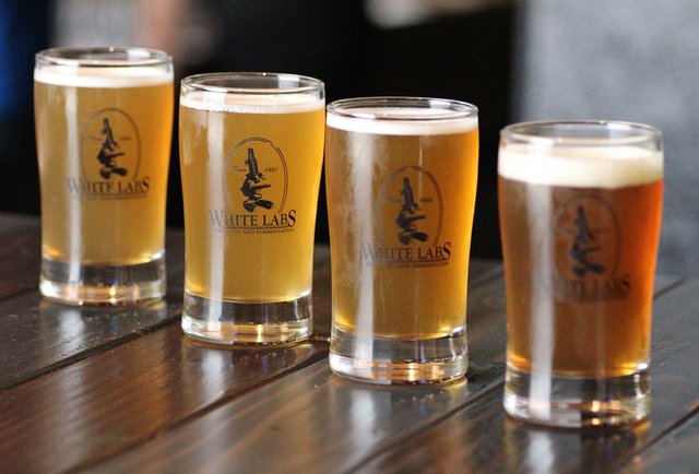 White Labs Tasting Room
