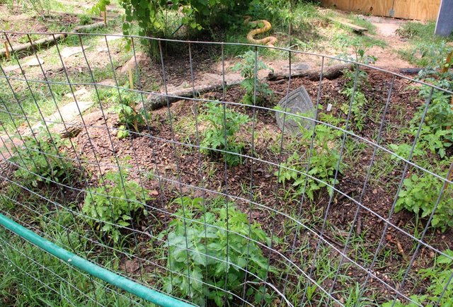 The Cooking School at Sweet Selma Farms