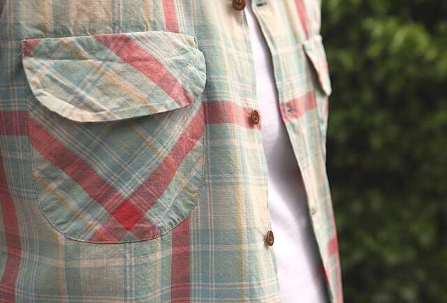 Levi's 1950 Check Shirt
