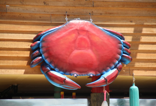 Brooklyn Crab