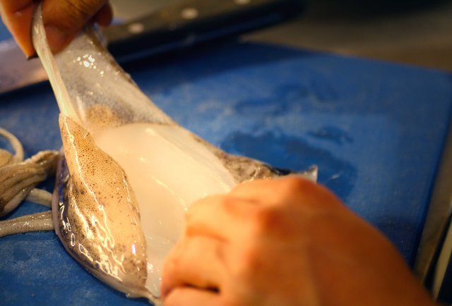 Clean The Squid