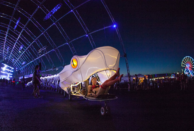 The Electric Daisy Carnival Review