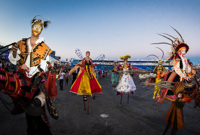 The Electric Daisy Carnival Review