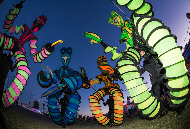 The Electric Daisy Carnival Review