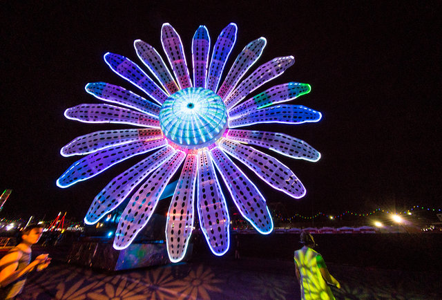 The Electric Daisy Carnival Review