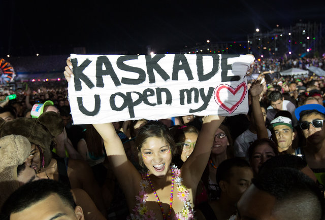 The Electric Daisy Carnival Review