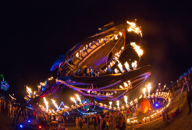 The Electric Daisy Carnival Review