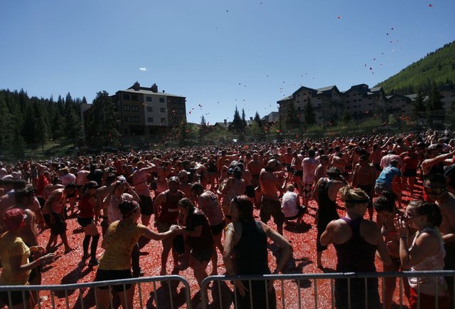 Tomato Battle