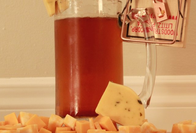 Portland Beer and Cheese Fest