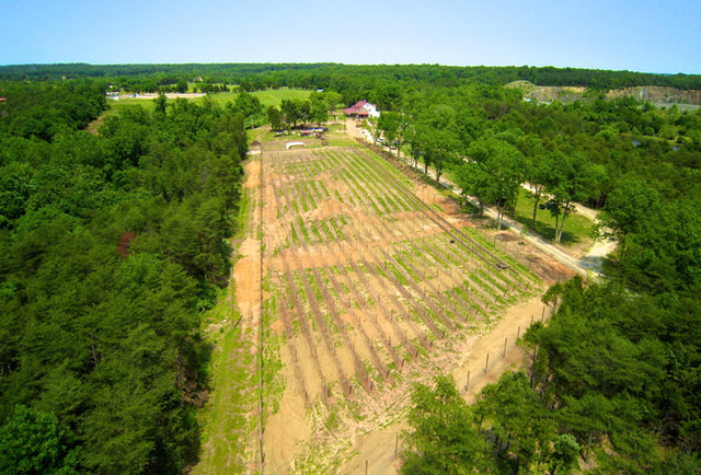 The Winery at Bull Run