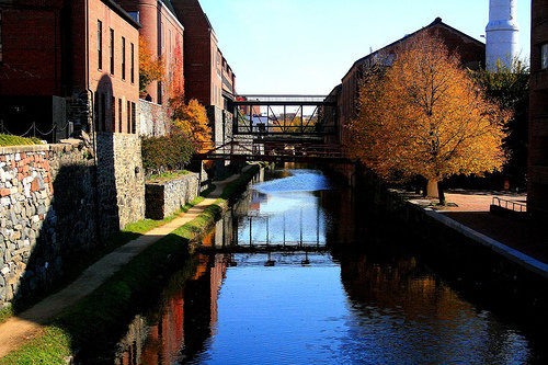 Georgetown Dash