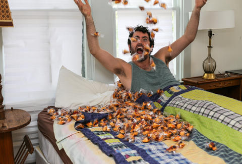 throwing up fortune cookies in bed