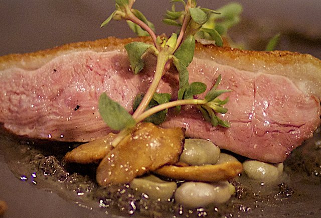 Alma Restaurant