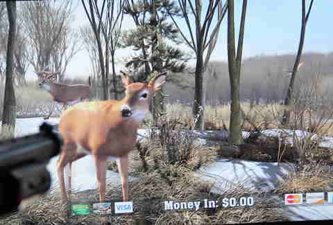 Big Buck Hunter