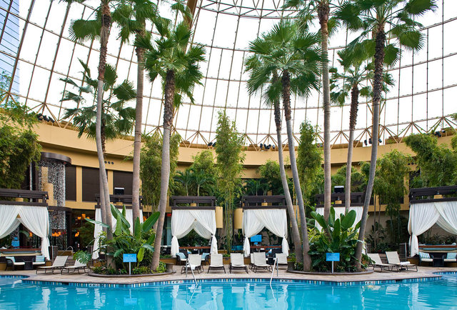 Harrah's Pool After Dark Reboot