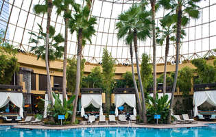 Harrah's Pool After Dark Reboot